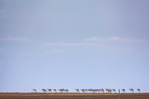 Marsabit - Désert de Chalbi - Notrh Horr - Loiyangalani