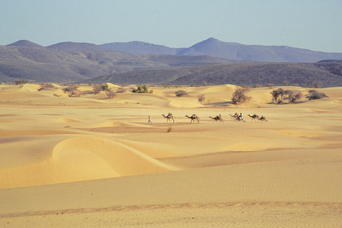 El Medah - El Gleitat