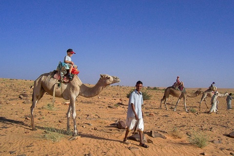 Ouadane - Fort Sagane - Atar