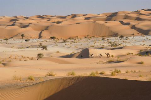 Tifoujar - Toungad - Guelb Chatou