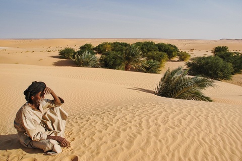 El Tiyar - Afamel Herzougat - Toueyviret
