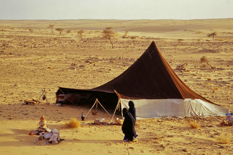 Bivouac - Sous tente