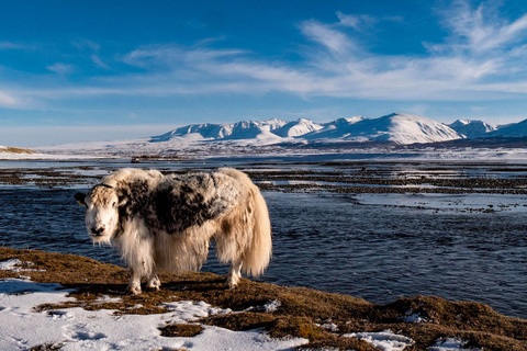 Oulan-Bator - Région de Bulgan