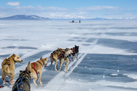 Départ du raid en chiens de traineaux sur le lac