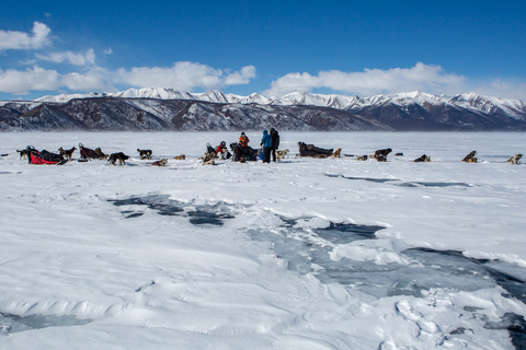 Départ du raid en chiens de traineaux sur le lac