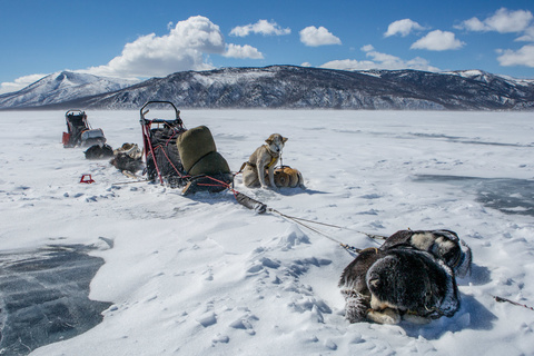 Départ du raid en chiens de traineaux sur le lac