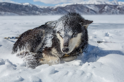 De Haluun Zaing à Jigleeg