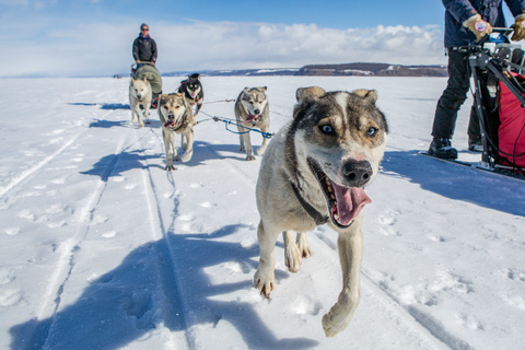 De Dalayn Modon Huys à Khelengiin Uzuur