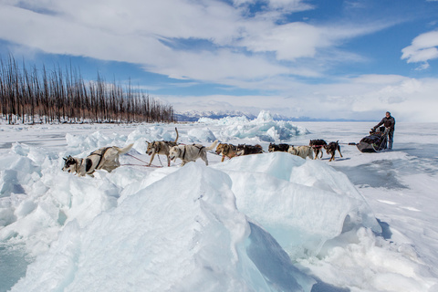 De Dalayn Modon Huys à Khelengiin Uzuur