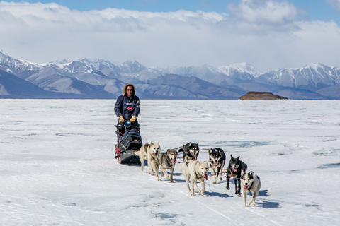 De Dalayn Modon Huys à Khelengiin Uzuur