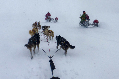 Ile de Dalayn Modon Huys