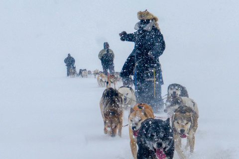 De Haluun Zaing à Jigleeg