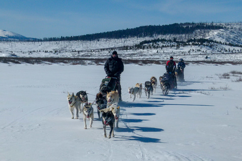 Bosgiin Guur - Khar Us