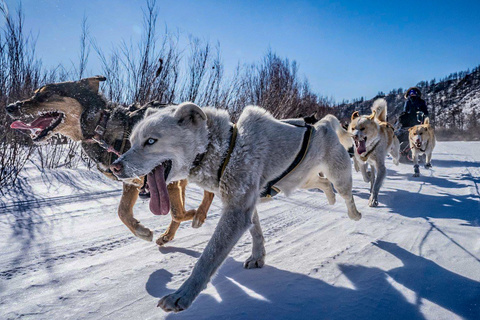 Bosgiin Guur - Khar Us