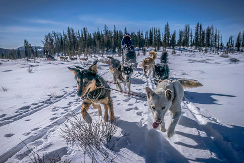 Khar Us – Jonction rivière Khagiin– Tsakhiir Chuluu