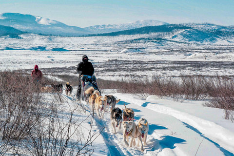 Khar Us - Bosgiin Guur