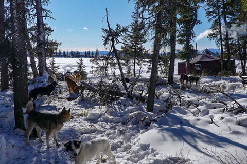 Khustay - Oulan Bator - Terelj