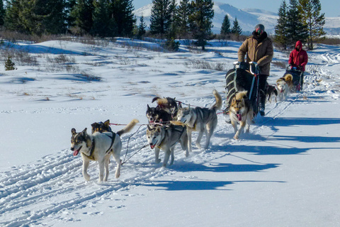 Bosgiin Guur - Uliin Bulan - Terelj