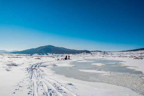 Bosgiin Guur - Uliin Bulan - Terelj