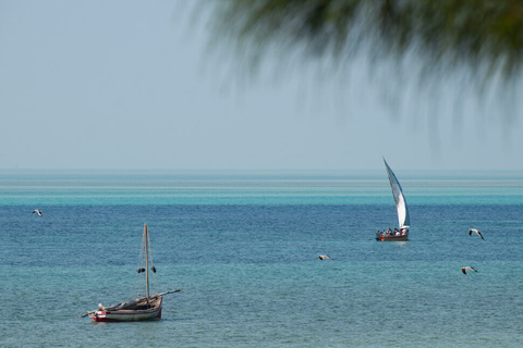 Pêche en mer - Massage