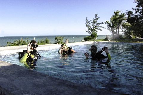 Plongée / snorkelling - Farniente à la plage