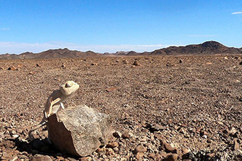 Swakopmund - Cap Cross - Twyfelfontein