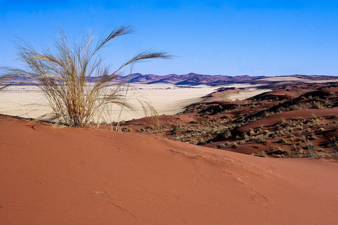 Swakopmund - Sesriem