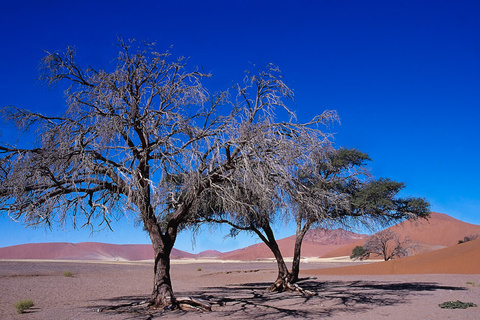 Swakopmund - Sesriem