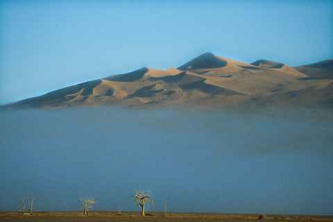 Expédition Namib - vers Meob Bay