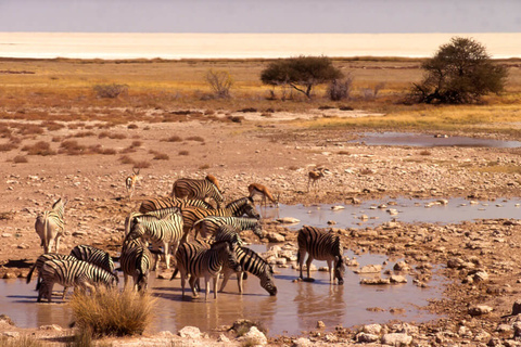 Etosha Okaukuejo