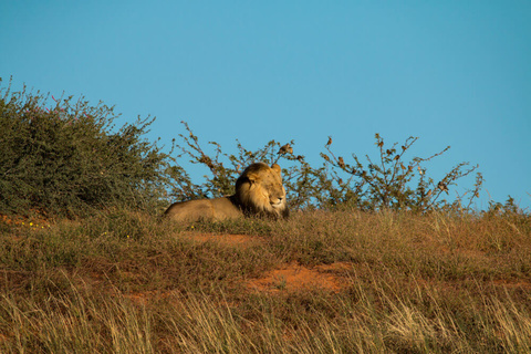 Windhoek - Mariental