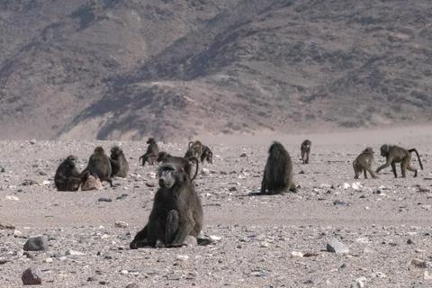 Purros– Vallée de l'Hoanib