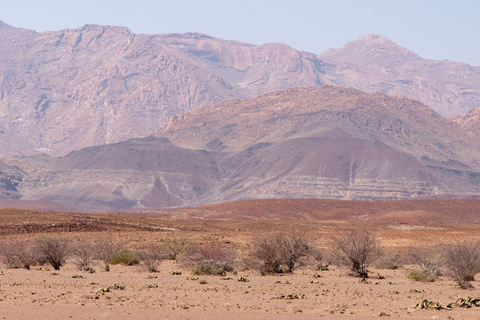 Brandberg - Twyfelfontein - Etosha