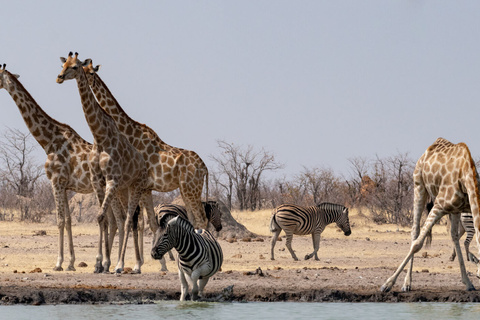 Etosha