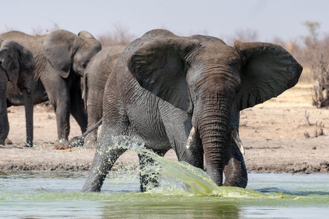 Etosha