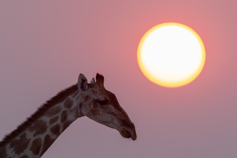 Etosha Okaukuejo