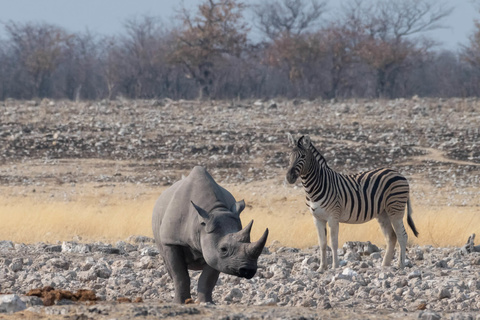 Etosha Okaukuejo