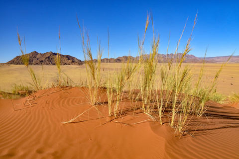 Sesriem - Fish River Canyon