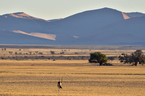 Swakopmund - Sesriem