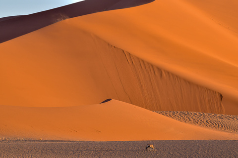 Sesriem - Sossuvlei, Désert du Namib