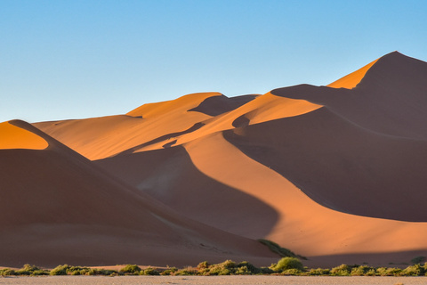 Expédition Namib - Sud du Witberg