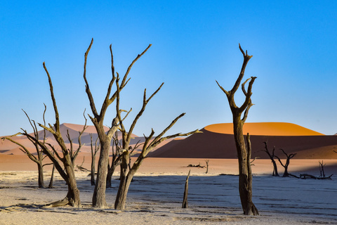 Désert du Namib