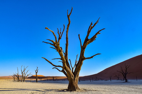 Désert du Namib - Sesriem  - Sossuvlei