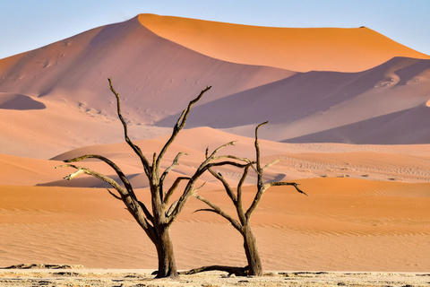Sesriem - Sossuvlei, Désert du Namib