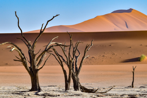 Sesriem - Sossuvlei, Désert du Namib