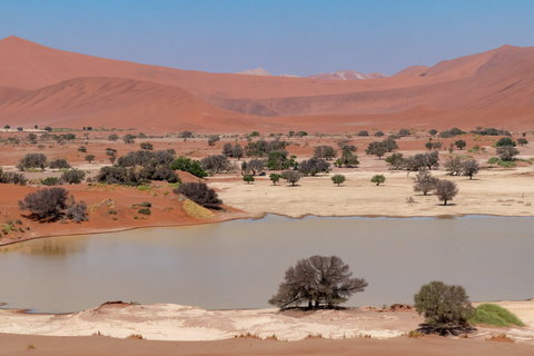 Désert du Namib