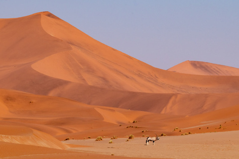 Expédition Namib - vers Meob Bay