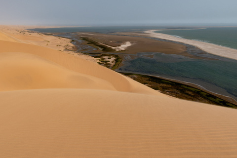 Expédition Namib - Sandwich Harbour