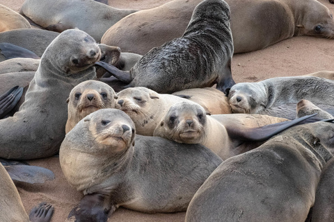 Brandberg - Swakopmund