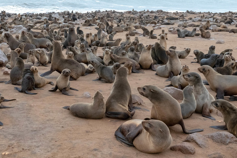 Brandberg - Swakopmund